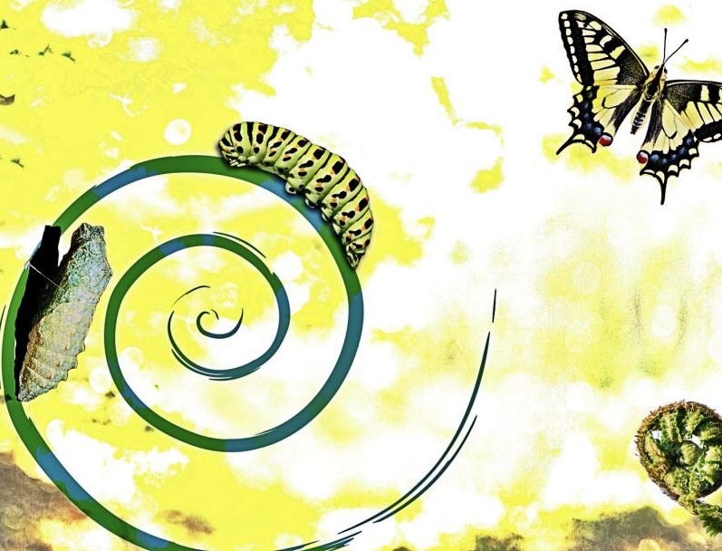 Yeni Yıla Yeni Bir Başlangıç: Öğretmenler için Farkındalık ve Motivasyon&nbsp;Tavsiyeleri