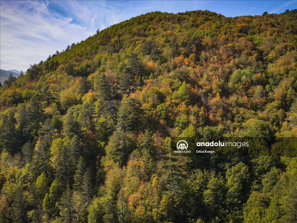 Sonbaharın Sessiz Dönüşü